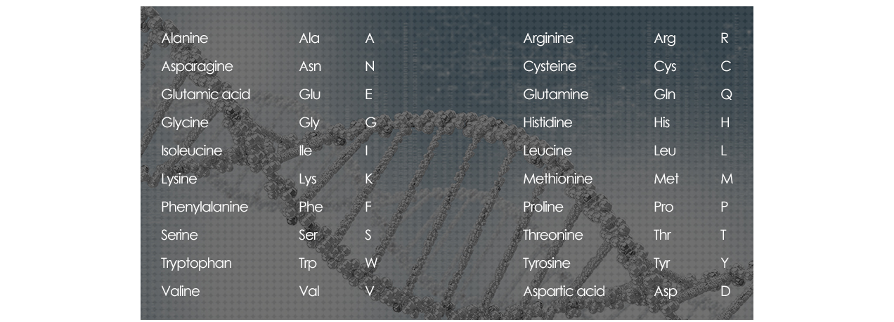 Custom peptide